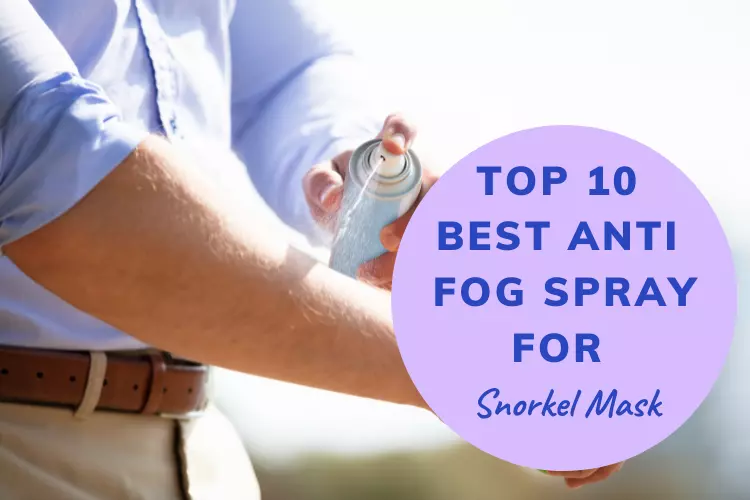 Top 10 Best Anti Fog Spray For Snorkel Mask Reviews [2022]