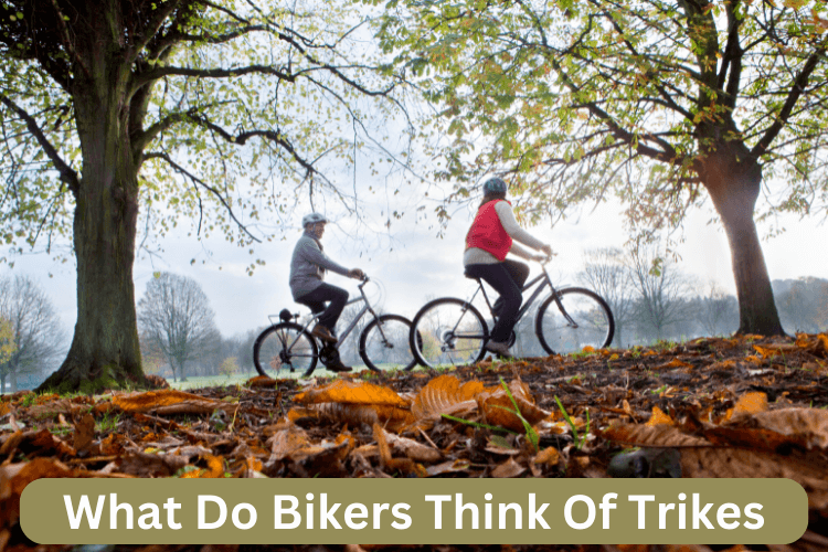 What Do Bikers Think Of Trikes