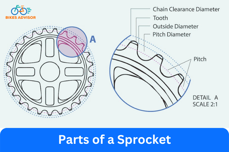 Parts of a Sprocket