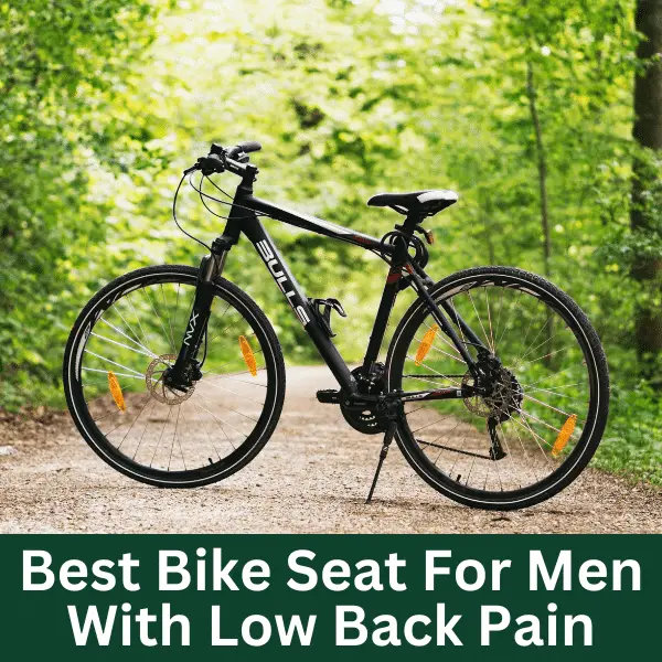Best Bike Seat For Men With Low Back Pain